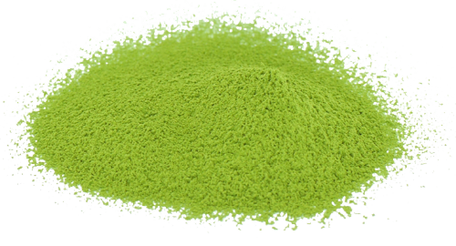Matcha from Wazuka